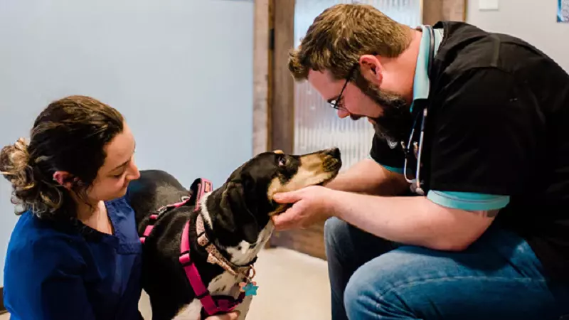 Choosing the Best Vet Austin: A Guide to Your Pet’s Well-Being