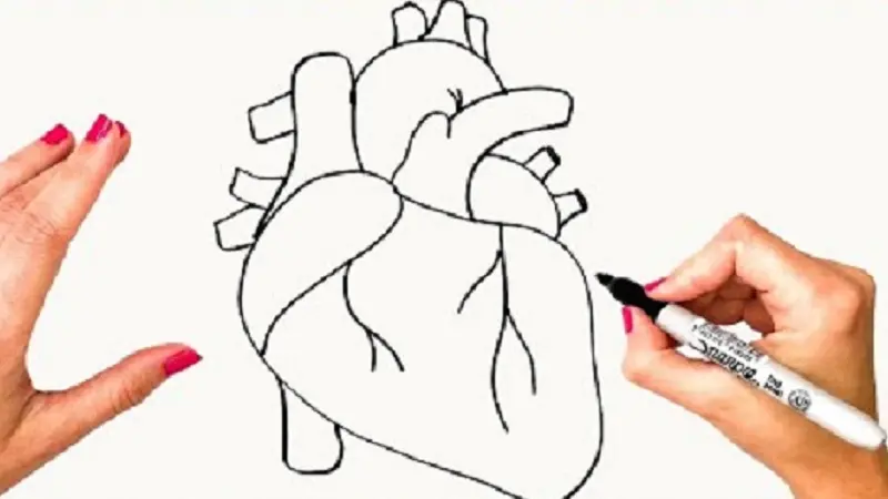 drawing:yw-tzomiaao= heart