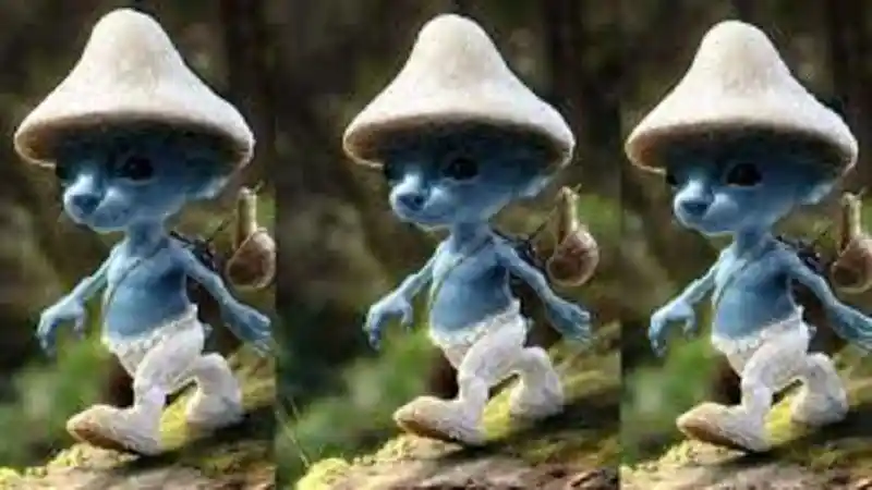 Blue:5sq6exb3lse= Smurf Cat: A New Internet Phenomenon